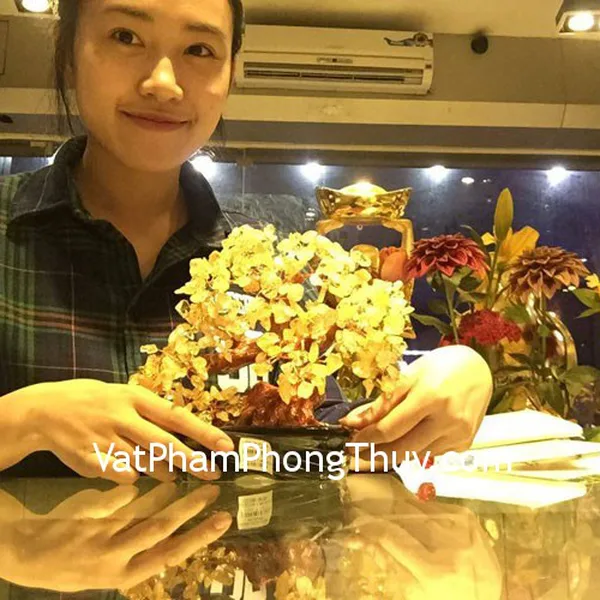 Chị Linh - khách hàng mua cây tài lộc thạch anh vàng