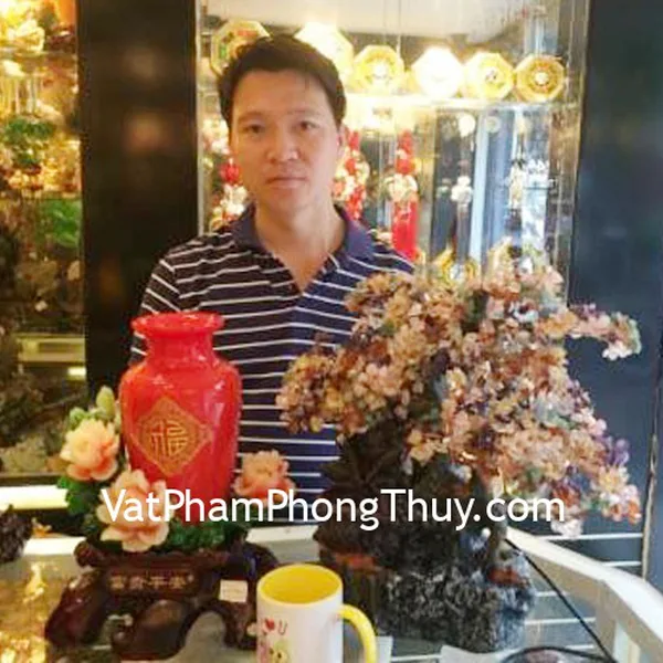 Anh Nam- khách hàng mua cây phong thủy luân nhiều màu KC001 và mẫu đơn đỏ bình an G122A