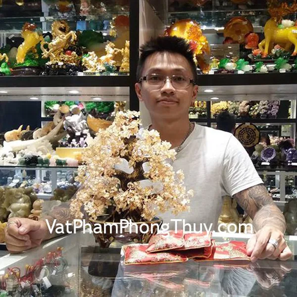 Anh Hiệp - khách hàng mua cây tài lộc thạch anh vàng KC100, KC104, trang sức phong thủy đá quý S6865-6, S6739-4163, S6420