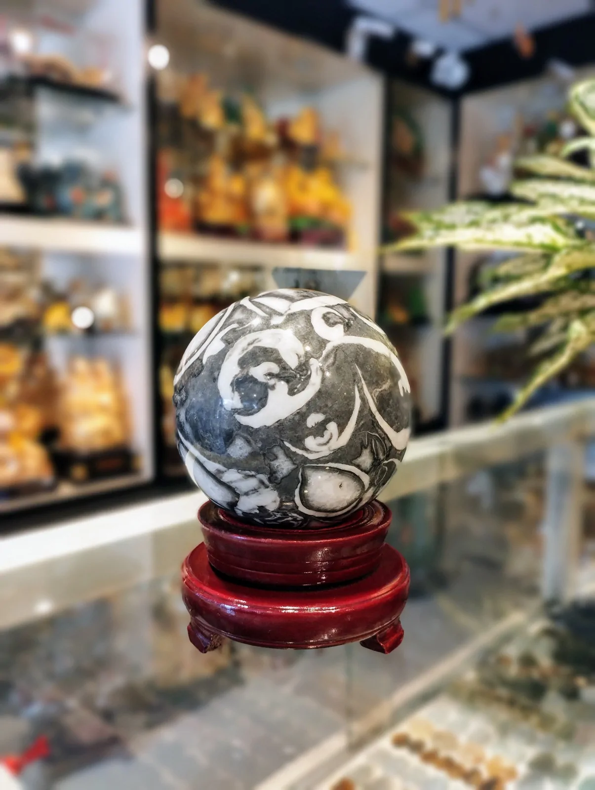 Qủa cầu vỏ biển hóa thạch(mài ốc) DT180-S5-3530