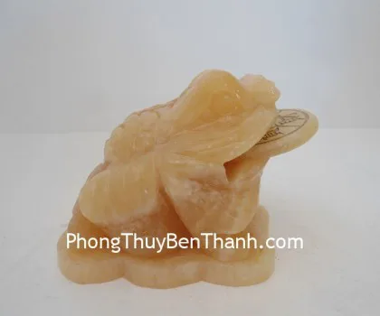 Thiềm thừ vàng kim, bắp cải xoay lớn- Chiêu tài kim thiềm FE058