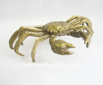 Cua đồng D177