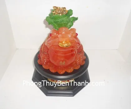 Thiềm thừ xanh, bắp cải xoay trung- Chiêu tài kim thiềm E056
