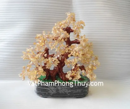 Cây đá nhiều màu trung CA252