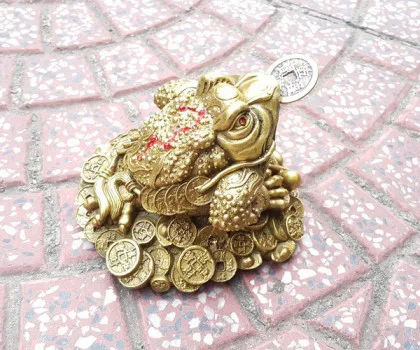 Thiềm thừ vàng kim, bắp cải xoay lớn- Chiêu tài kim thiềm E058