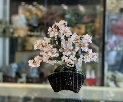Cây thạch anh trắng thân bonsai chậu kiểu nhật mới (Phước) KC118