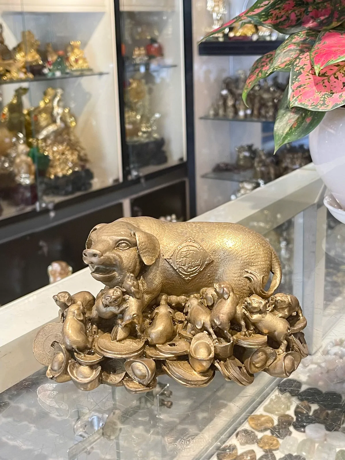 Đàn heo tài lộc lớn trường túc D176