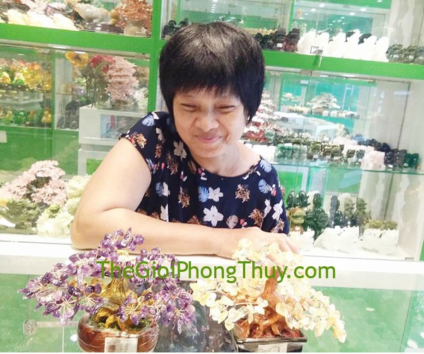Cô Nguyệt-Khách hàng mua Cây tài lộc thạch anh vàng siêu nhỏ FKC057 và Cây tài lộc thạch anh tím siêu nhỏ FKC058
