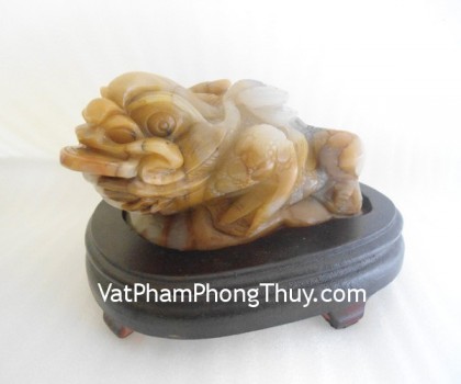 Cóc ngọc Hoàng Long TT-HL-8690