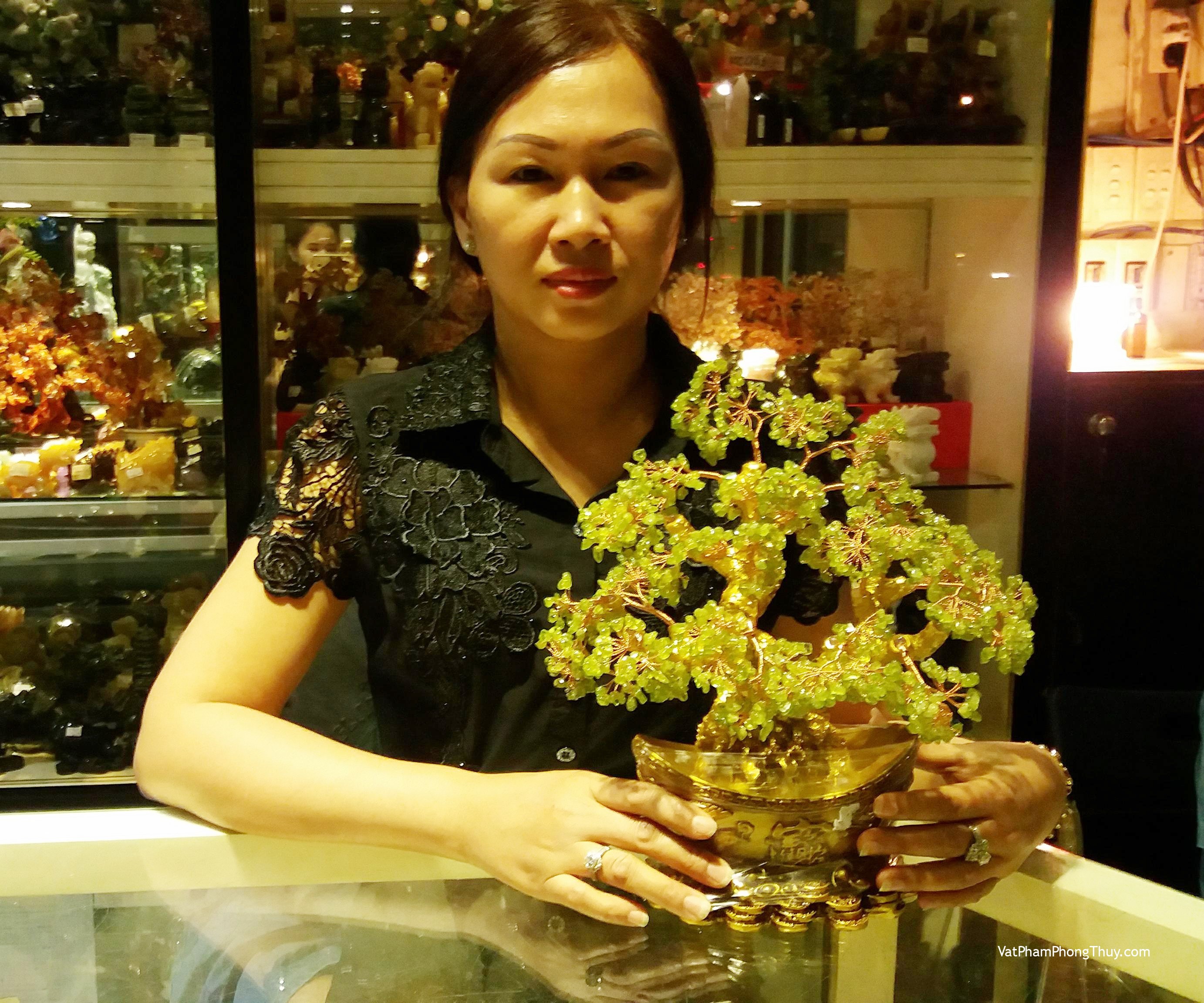 Chị Loan - khách hàng mua Cây tài lộc cẩm lãm KC075