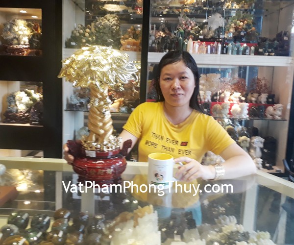 Chị Nhất - khách hàng mua Cây phát tài F153